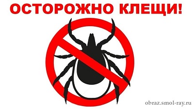 О Всероссийской горячей линии по профилактике клещевого энцефалита и инфекций, передающихся клещами.